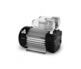 Rotary vane pumps
